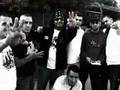 RCB DVD II Offizieller Trailer