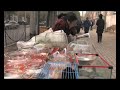 RUES DE PEKIN EXTRAIT 2 / BEIJING'S STREETS 2