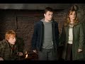 Harry Potter & Orden del Fenix