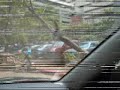 Typhoon Damage in Makati Philippines
