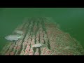 Deep Sea Exploration of the P-38