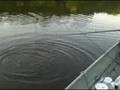 Aug-17-2008-VID00067