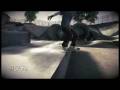 SkateThis.Net COTW33