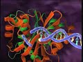 hiv-infection.html