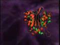 HIV Infection