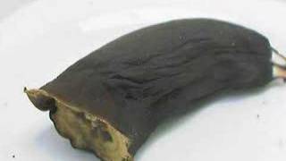 Banana going brown, timelapse