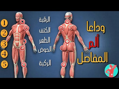 افضل 5استريتشات فى العالم | طرق حماية وعلاج آلام المفاصل [الرقبة - الكتف - الظهر - الحوض - الركبة]