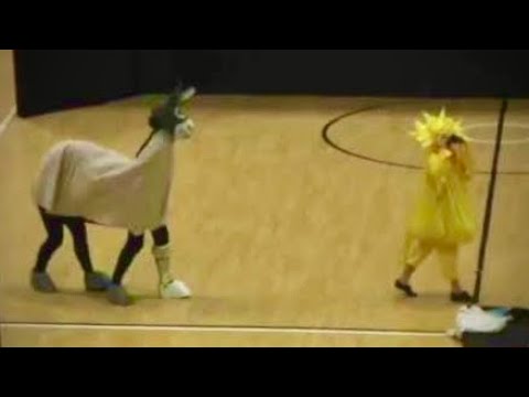 craigsmithkiwi - Wonky Donkey and Yellow Bird Dance Craig Smith Katz Cowley Dance music fun.