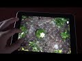 Video of Pocket Pond HD