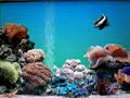 Marine Aquarium