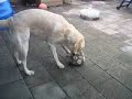 twister twister