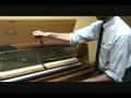 Dan Levitan, RPT - Unison Tuning