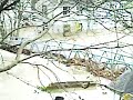 @sickkid1972 [#Cockermouth #flood 20th November 2009 - W...]