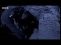 bbc-animals-underground-elephants-elephant-cave.html