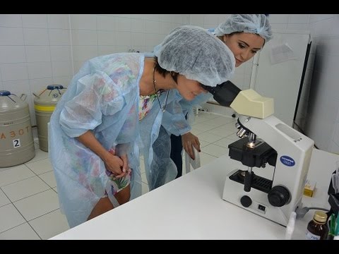 Видео: Центр ЭКО в Смоленске