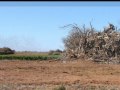 Lamdscapes: Riverland growers exit horticulture