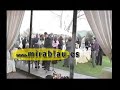 spot mirablau