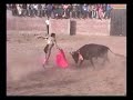 Corrida de toros en Huac-huas 2008 Videos Zeita