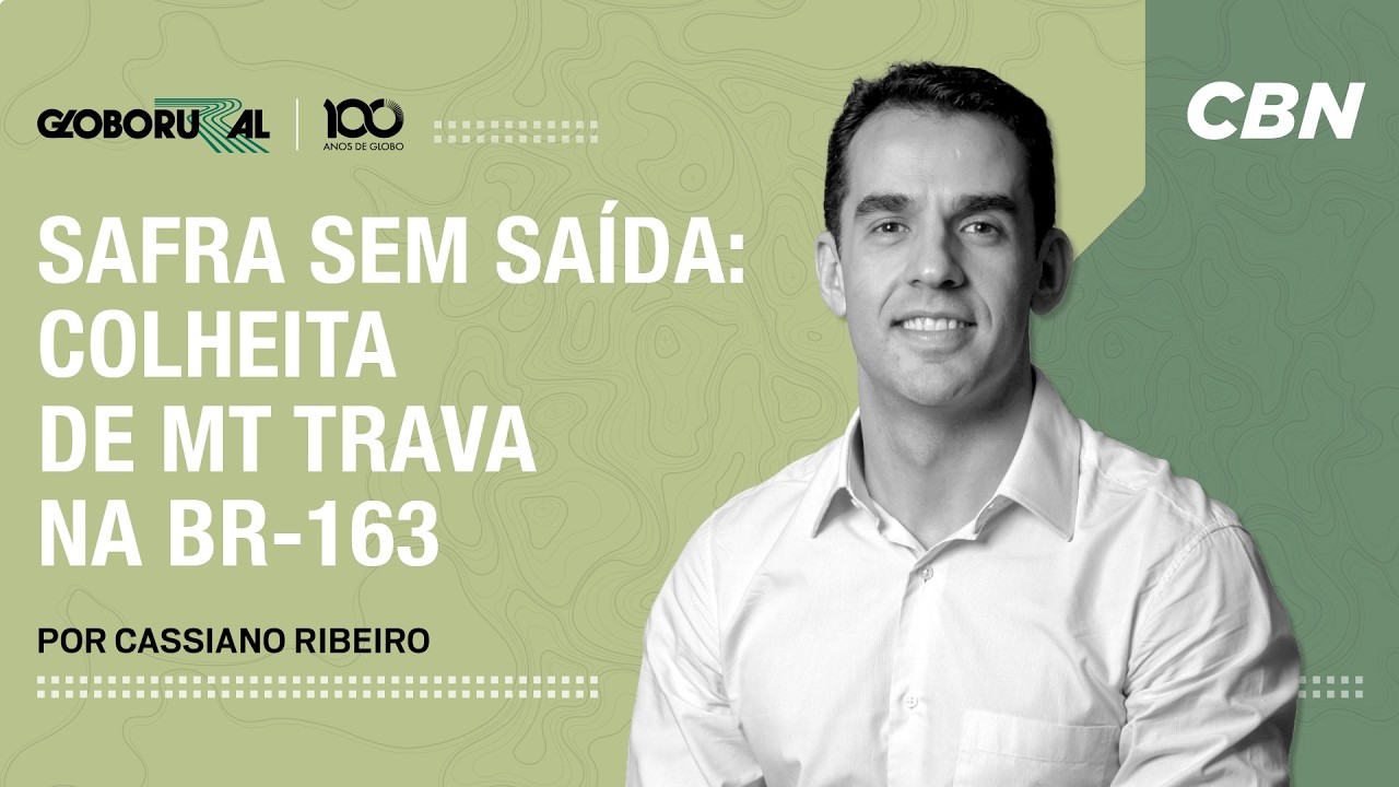Safra sem saída: colheita de MT trava na BR-163 | CBN Agro