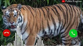 Tiger ki New Ringtone 2021 Bast Hindi Sher ki ring