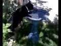 videos de wat it is (dag u thristy.3g2) - September 07, 2008, 01:17 PM