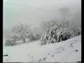 Neve no Brasil - Rodolfo de Oliveira Souza (Parte 1)