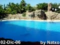 Dolphins Show de Delfines. (Loro parque) 2-Dic-06