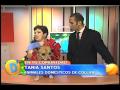 D'Latinos Mascota 12-10-09.mov