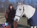 Horse Rescuer