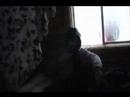 MTV Camas Cribs - Camas Meadows