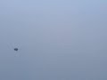 MONSTER FISH OF GARDA LAKE?