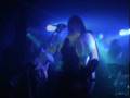 videos de heidevolk live goudvishal furor teutonicus