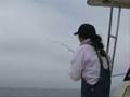 videos de Caught Getting Jiggy at Half Moon Bay