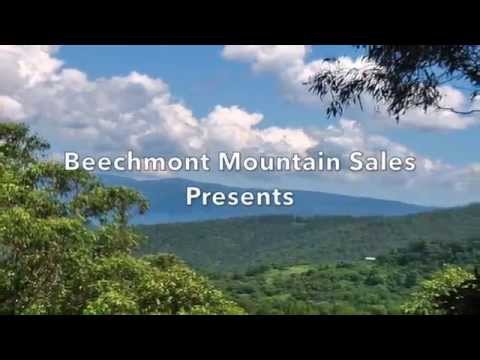 623 Beechmont Road, Lower Beechmont, Qld 4211