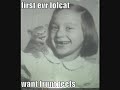 funny cats part 18 funny cats part 18
