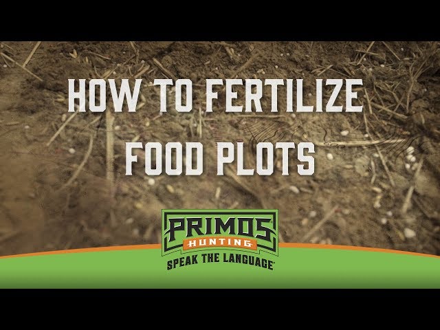 Easy ways to fertilize food plots