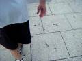 videos de Cameron the no crack-stepper-onner