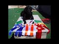 DOG OBEDIENCE TRAINING | PERFECT SCORE IN DOG COMPETITION