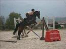 Le Merveilleux Monde de Babou et M�lodie