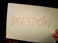 Cómo hacer un corte de digestión Cómo hacer un corte de digestión