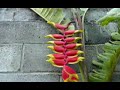 \"correspondências\"-\"correspondences\" \"correspondências\"-\"correspondences\"