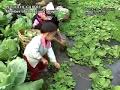 INDIGENOUS PEOPLES RIGHTS DECLARATION U.N. Part 1