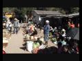 aileu timor