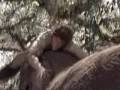  - MovieZen Video