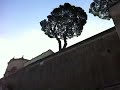 video3.mov Video
