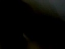the life of caleb episode 2 Wrath of the monkey the life of caleb episode 2 Wrath of the monkey