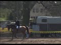 Capanos - Holsteiner Stallion Capanos - Holsteiner Stallion