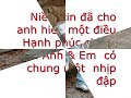 C?m Giác Ch? Dành Cho Em - Khánh Ph??ng C?m Giác Ch? Dành Cho Em - Khánh Ph??ng