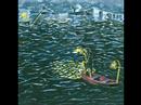 Runco's Weekly Music - Guest Writer - Explosions in the Sky