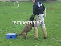 nierlenders evgeny
